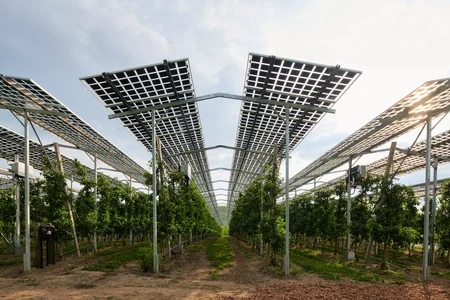 2022_05_13_Agri-PV-Kressbronn_ISE_001