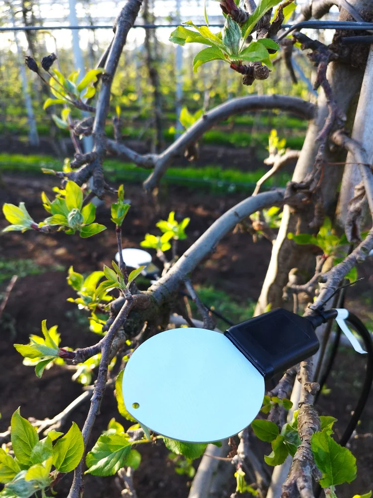 Monitoring StaMoMo Modellregion